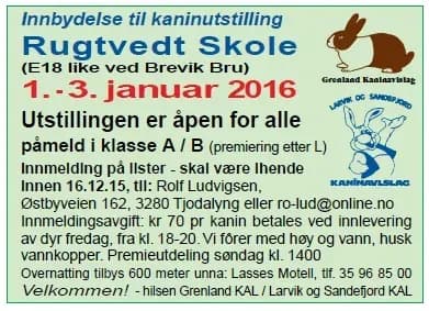 15rugstvedt