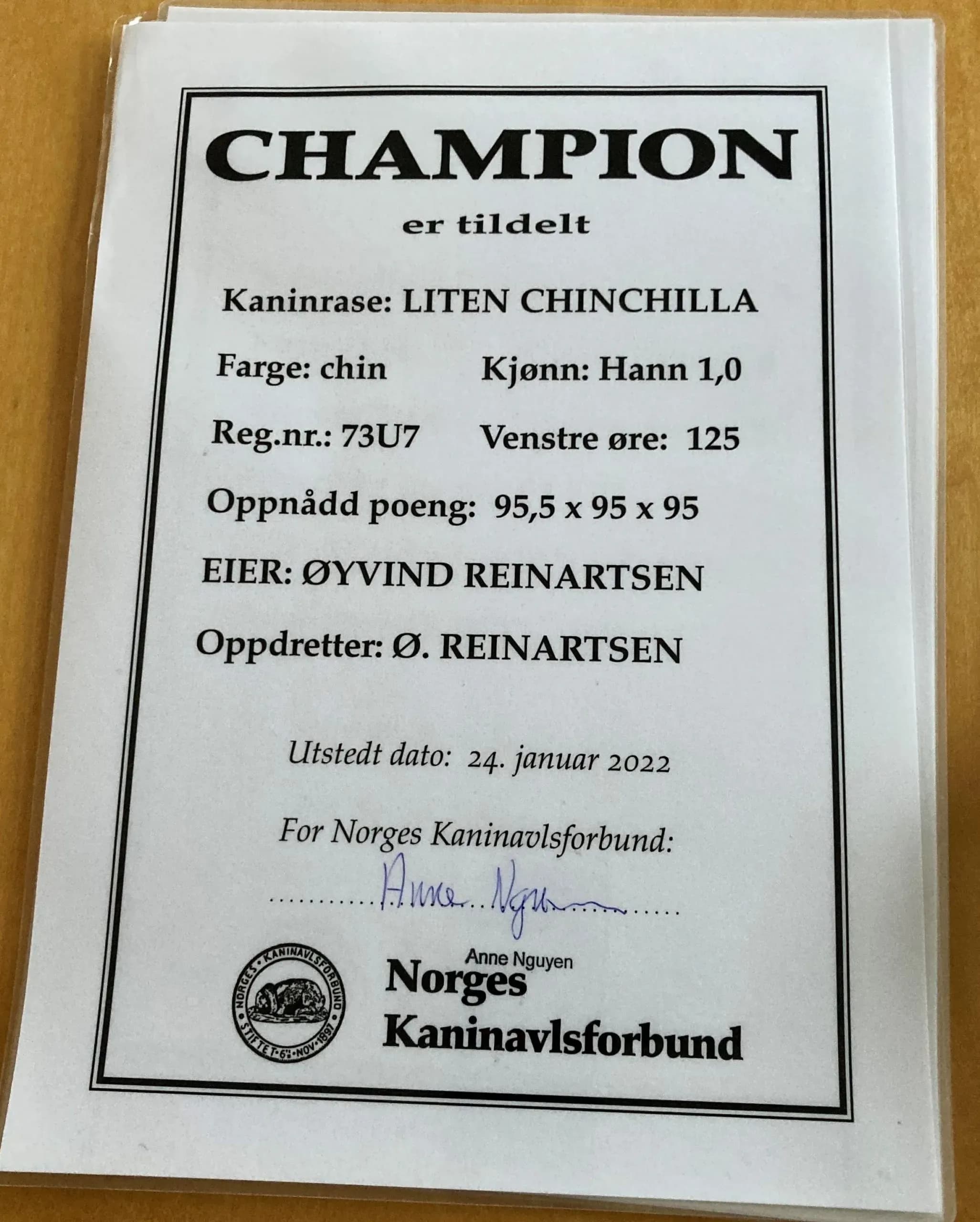 Champion diplom