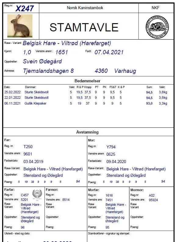 Stamtavle som vise en bestefar som er bronsechampion