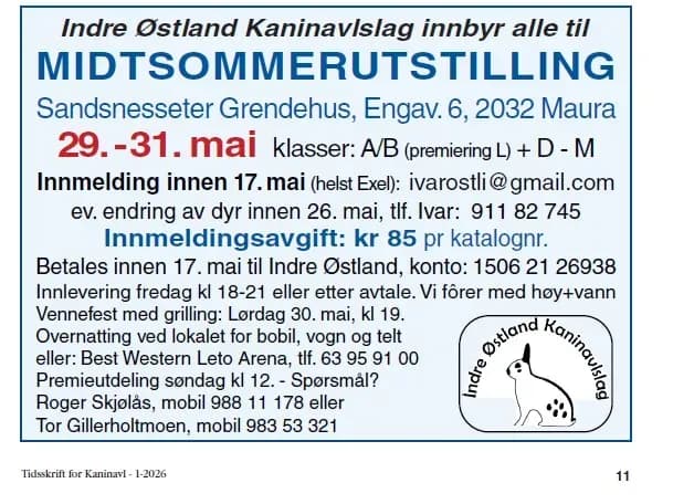 Annonse indre østland.