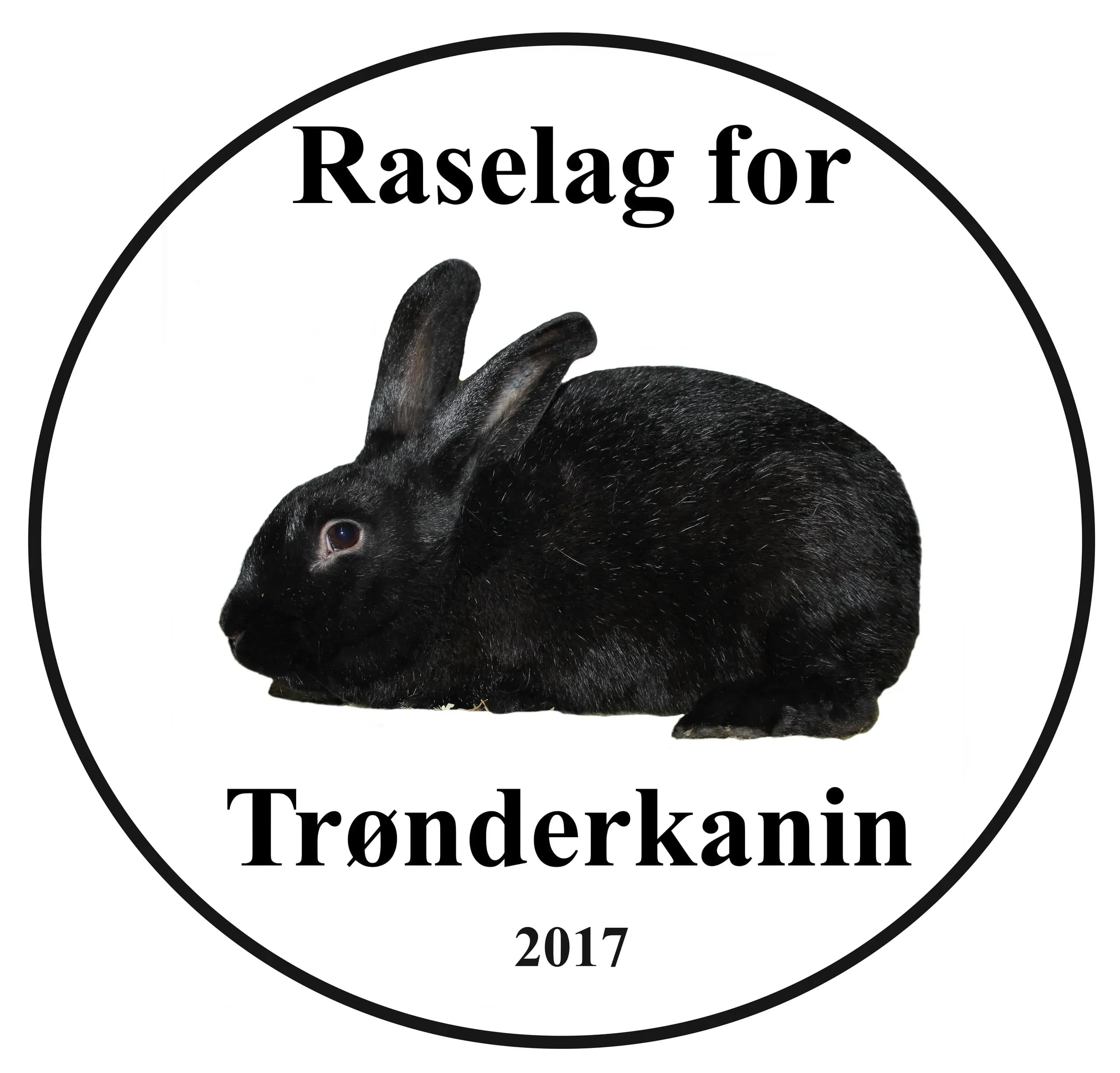 Logo raselag for trønderkanin