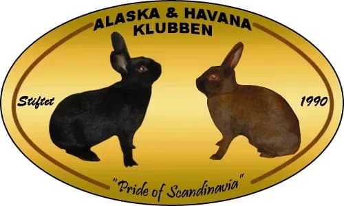 alaska og havana