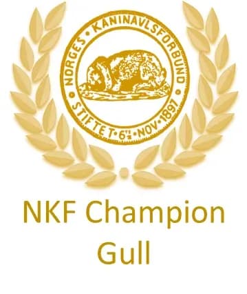 Champion-3