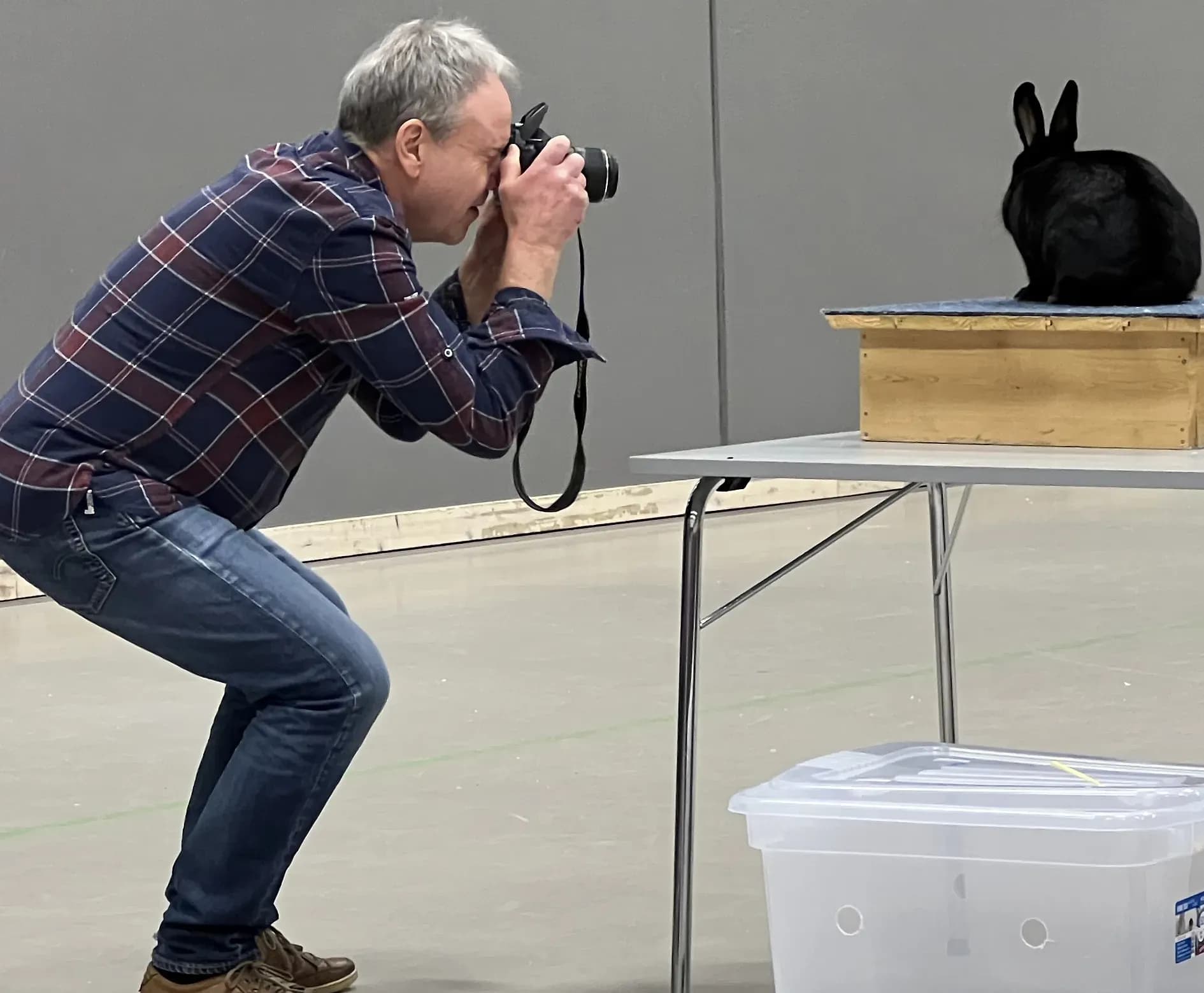foto og bilder