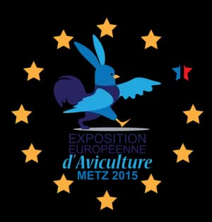 logo-metz2015