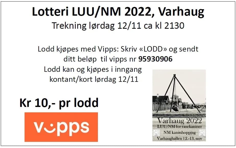 lotteri bilde