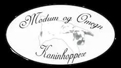 Logo Modum