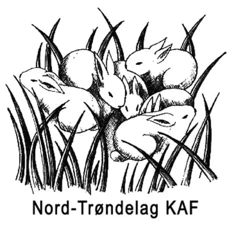 Nord trøndelag