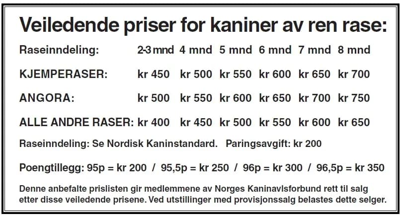 priser kanin