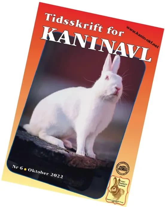 Skjermbilde 2022-10-11 105340