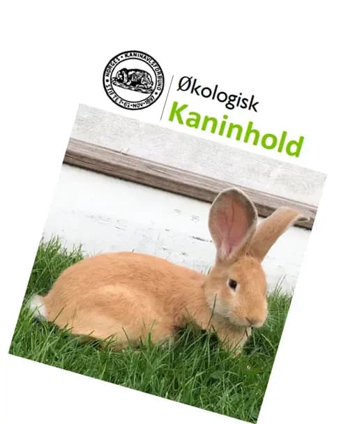 Skjermbilde 2024-04-05 105424