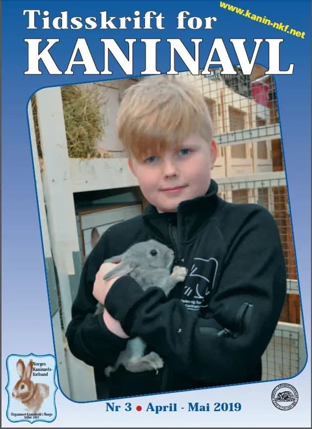 Skjermbilde