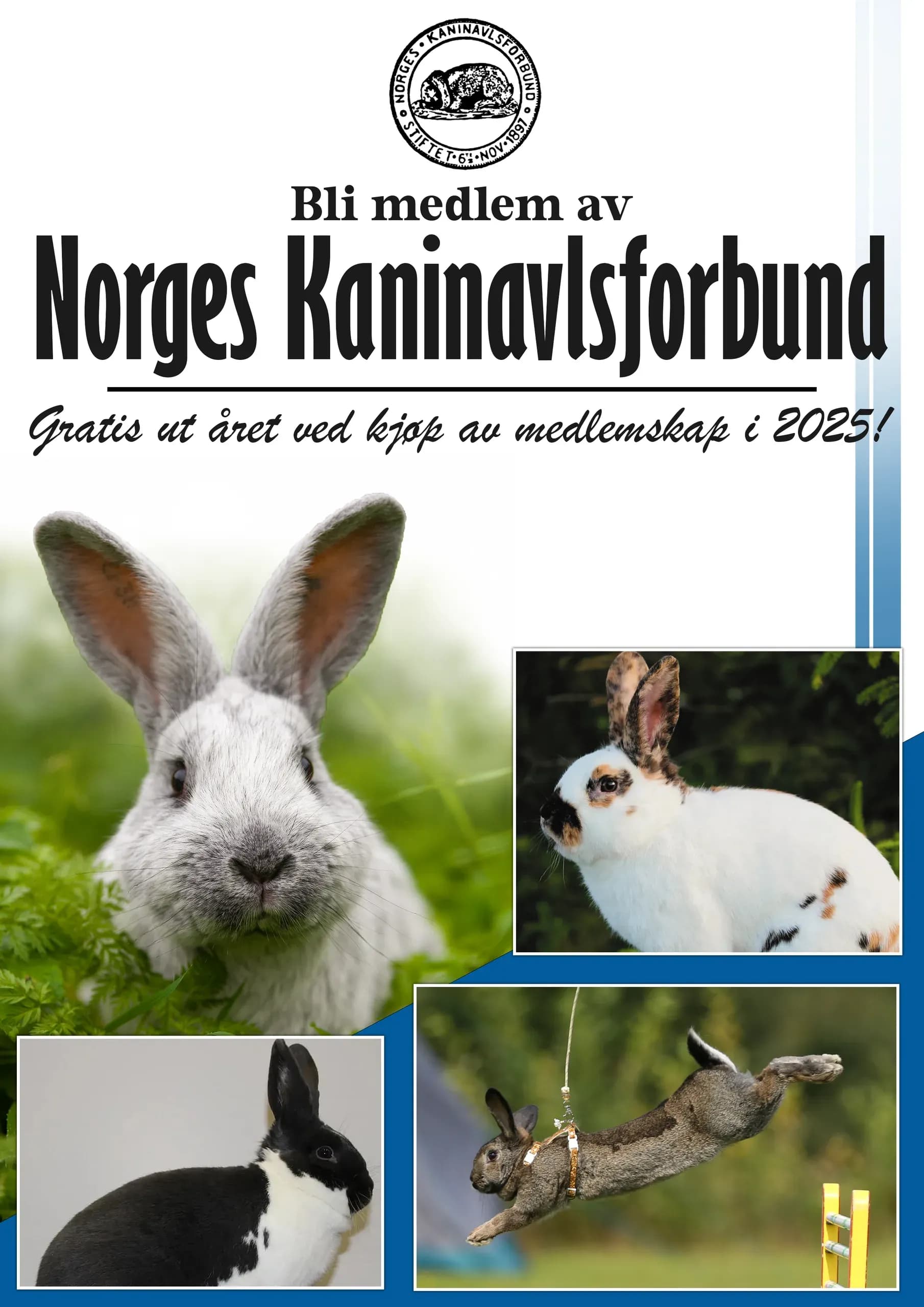 Vervebrev NKF