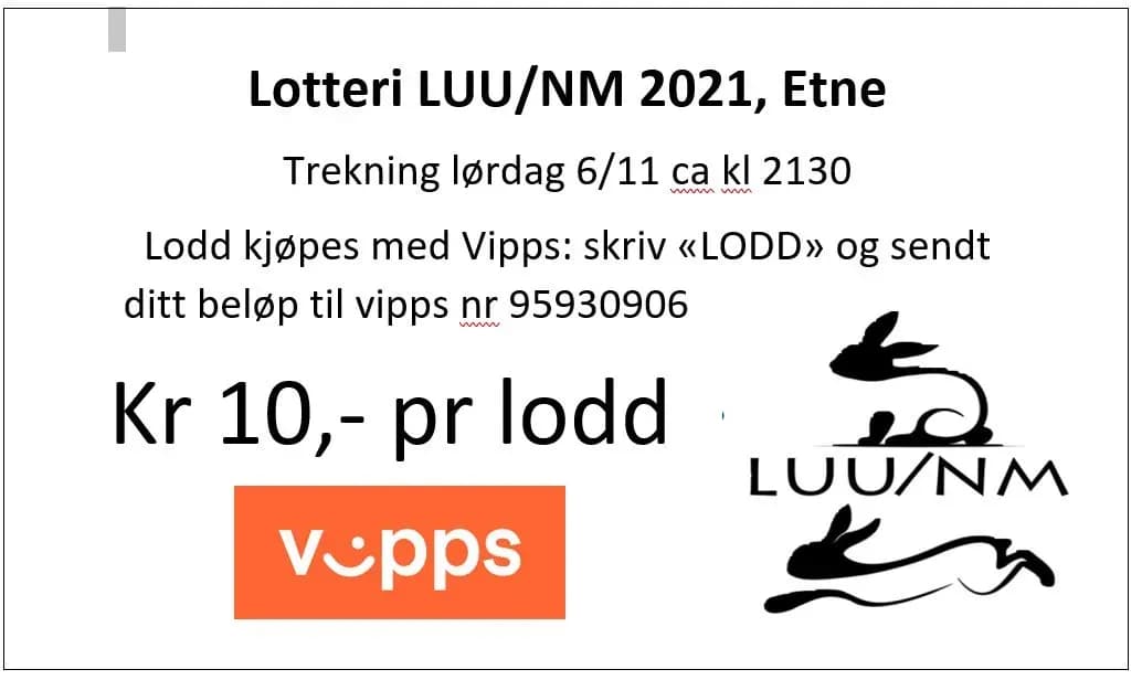 Lotteri