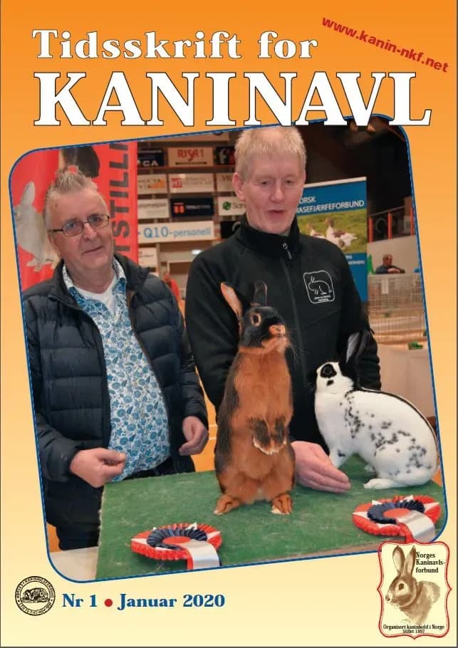 Skjermbilde