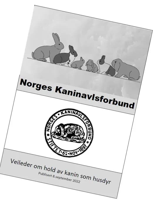 Veileder